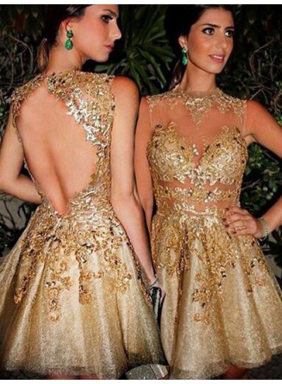2024 A-Line/Princess Scoop Neck Sleeveless Applique Back Cut Out Tulle Cut Short/Mini Homecoming Dresses